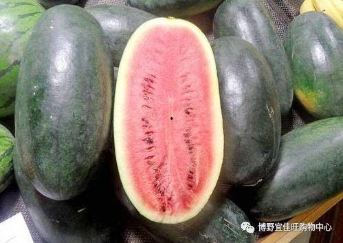 黑瓜吃料网每日爆料fun,fun每日精彩内容大盘点