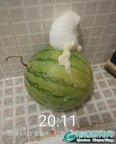 泡泡黑料吃瓜视频在线观看,吃瓜视频带你领略网络热点背后的真相